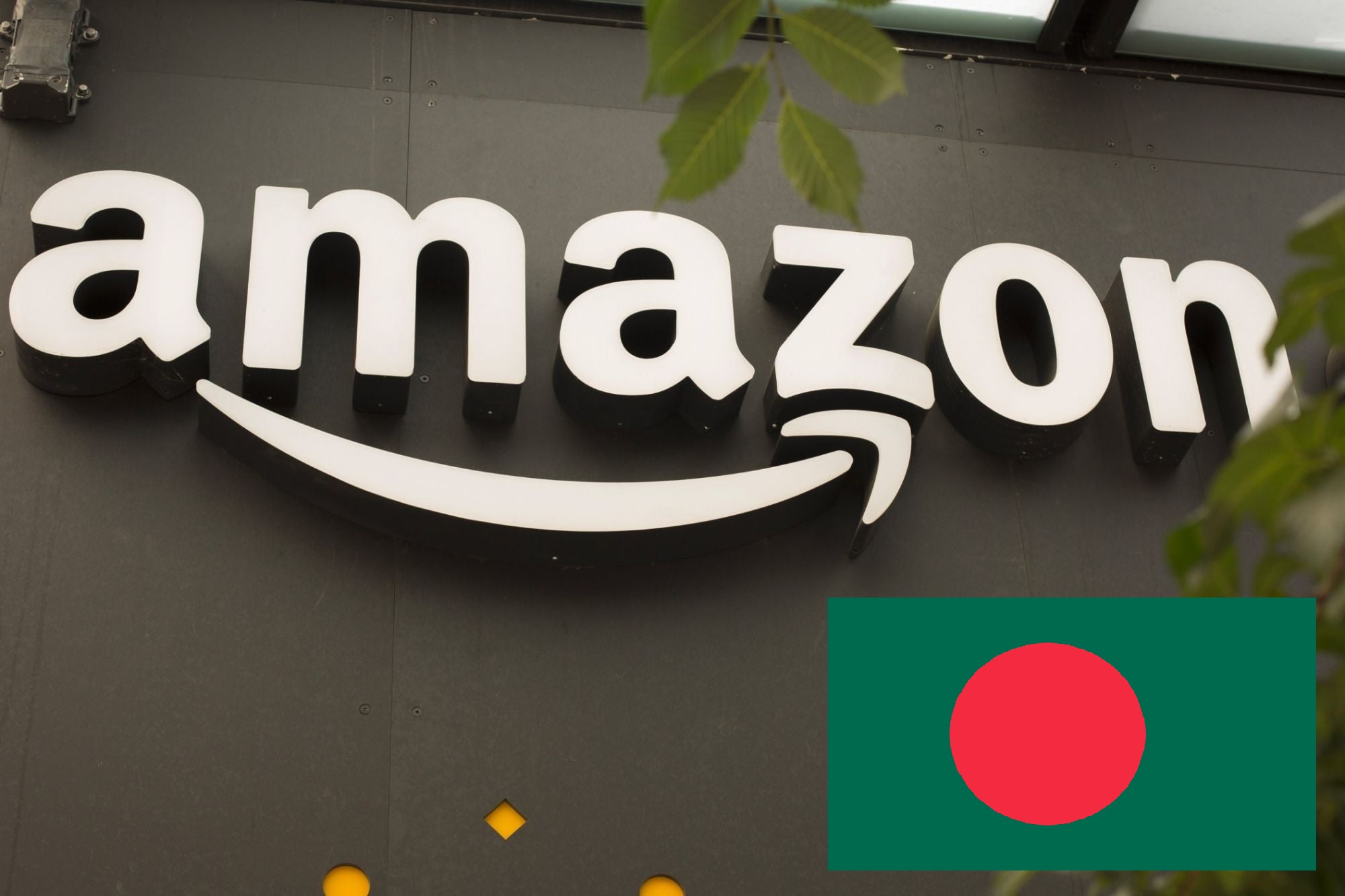 Amazon BD